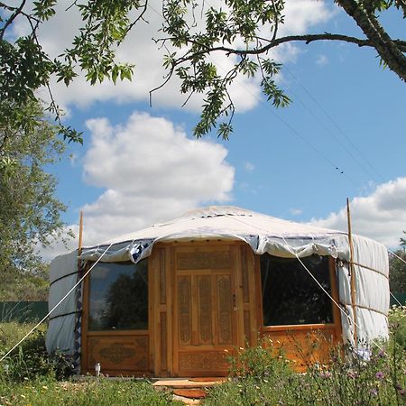 Tiny House Eco Resort Estevais Экстерьер фото