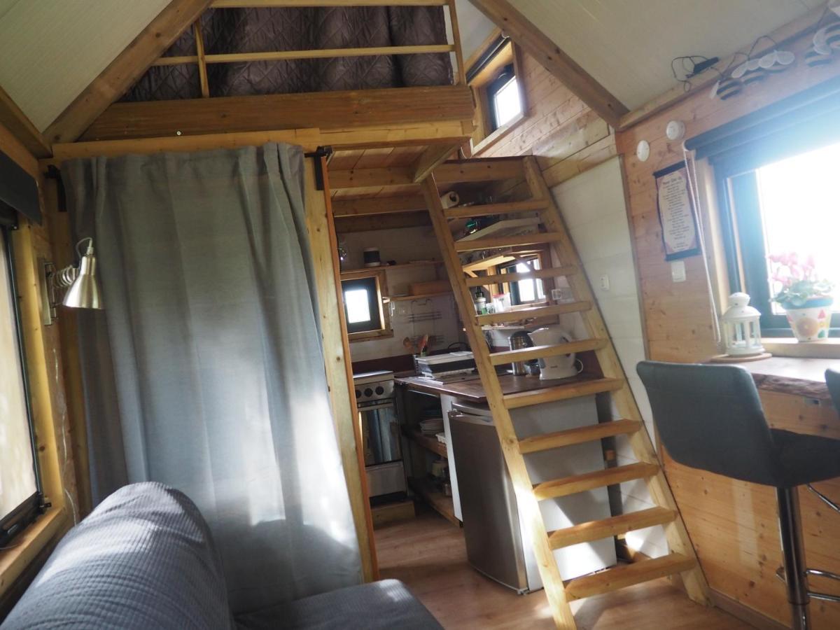 Tiny House Eco Resort Estevais Экстерьер фото